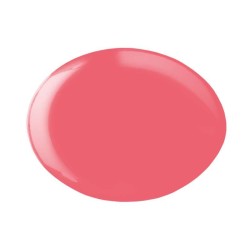 ESMALTE GEL PERMANENTE ANDREIA Nº285